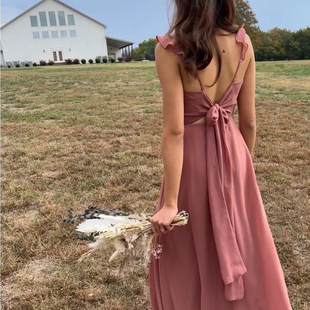 Birdy Grey Doris Chiffon Dress XS / Desert Rose